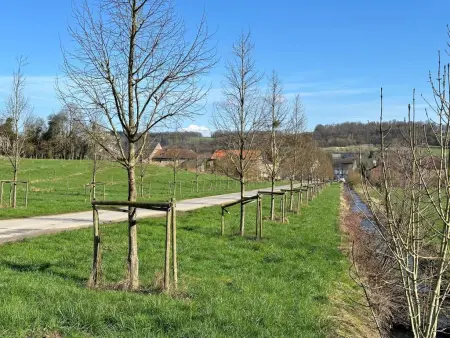 Gite du Verger, Maison authentique avec vue, dans les Ardennes - Photo 32