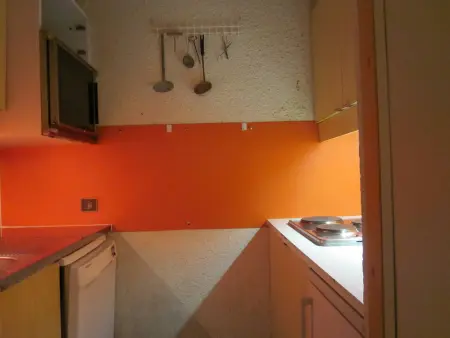 Appartement skis aux pieds, terrasse ensoleillée, animaux admis, 6 personnes - Photo 3