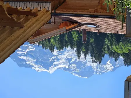 Panoramapark Soleil Haus D Apt 3, Appartement 4 personnes à Wengen - Photo 21