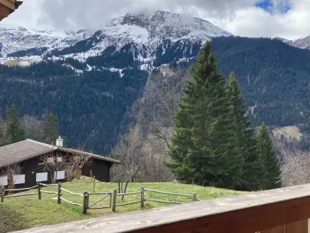 Panoramapark Soleil Haus D Apt 3, Appartement 4 personnes à Wengen - Photo 24
