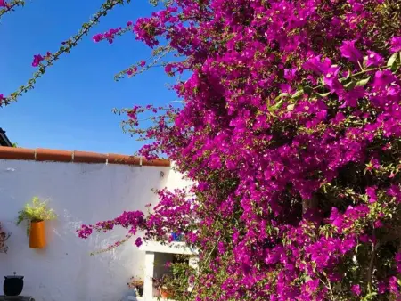 Charmante villa 2 chambres à Canet-en-Roussillon, proche plage - Photo 15