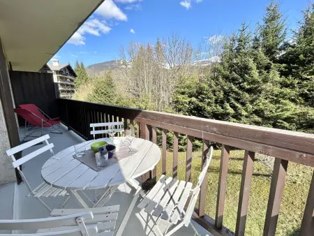 Appartement cosy 2 pièces avec balcon, proche centre et télécabine, piscine et tennis en été - Photo 15