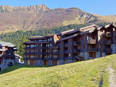 Studio cosy, animaux admis, parking disponible, Valmorel - Photo 10