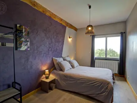 Spacieux gîte en campagne avec piscine et spa, Gite 10 personnes à Néronde - Photo 19