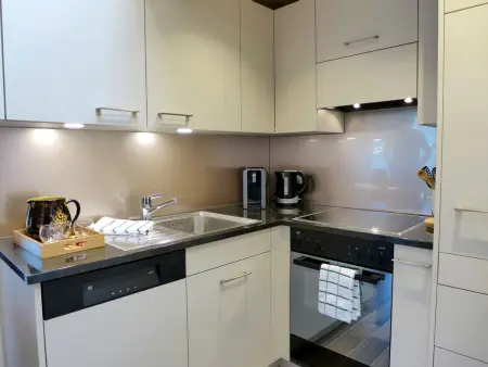 Beim Ahorn, Appartement 3 personnes à Kandersteg - Photo 11