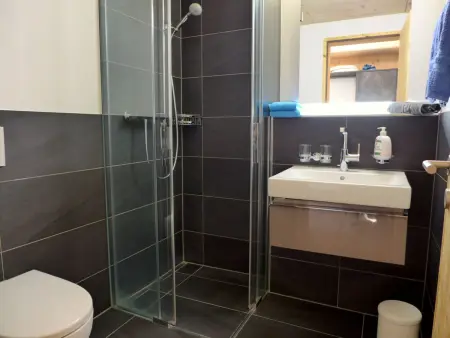 Beim Ahorn, Appartement 3 personnes à Kandersteg - Photo 13