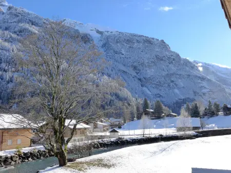 Beim Ahorn, Appartement 3 personnes à Kandersteg - Photo 26