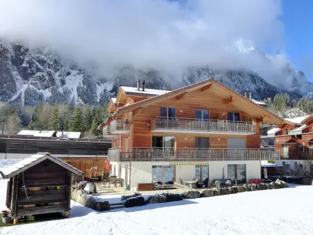 Beim Ahorn, Appartement 3 personnes à Kandersteg - Photo 27