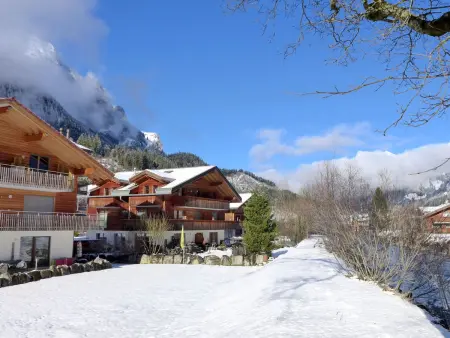 Beim Ahorn, Appartement 3 personnes à Kandersteg - Photo 28