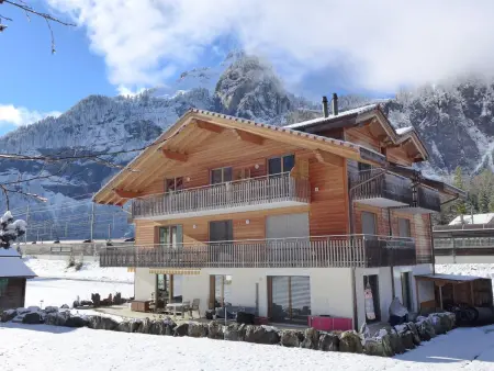 Beim Ahorn, Appartement 3 personnes à Kandersteg - Photo 29