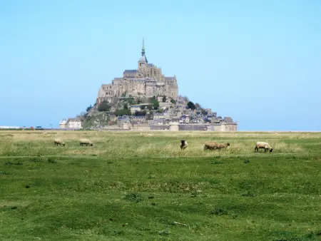 La Gentilhommière, Gite 12 personnes à Le Tronchet - Photo 39