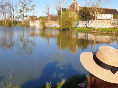 Gîte pittoresque avec nature, Wi-Fi, BBQ et terrasse privée - Photo 1