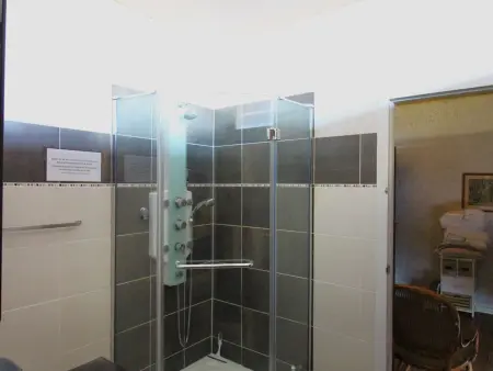 Grande villa avec jacuzzi à La Pointe aux Chevaux - Photo 17