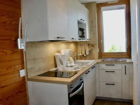Appartement lumineux proche des pistes, 2 pièces, max 4/5 pers - Photo 1