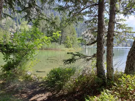 Le Sporting 213, Appartement 5 personnes à Champex - Photo 35