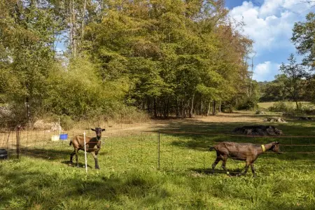 LA MAISON AUX VOLETS ROUGES, Maison près du Parc du Morvan avec piscine - Photo 33