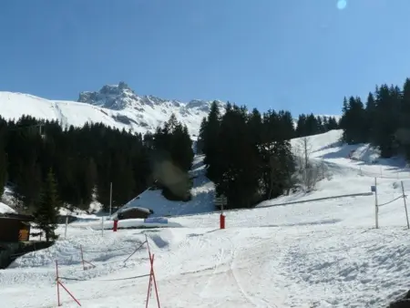 Studio ski-in/ski-out, balcon sud, cuisine équipée, 4 pers, animaux ok - Photo 14