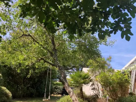 Charmante maison proche plages avec jardin, 4 chambres - Photo 17