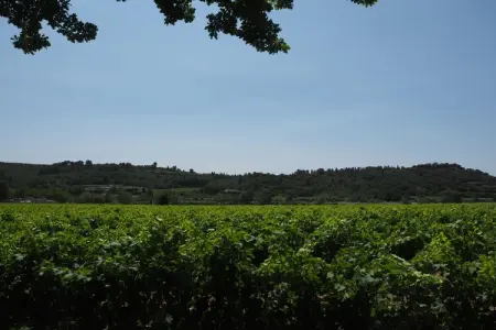 Ferienhaus in Domazan, Maison près du Pont du Gard & Vignobles - Photo 27
