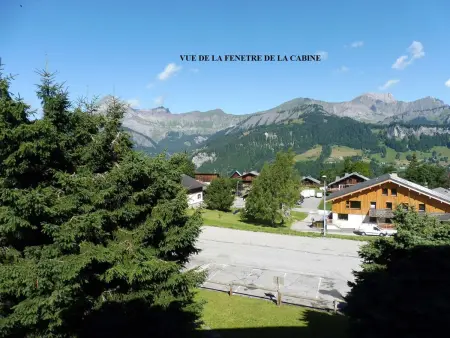 Appartement à Crest-Voland près des pistes avec garage - Photo 12