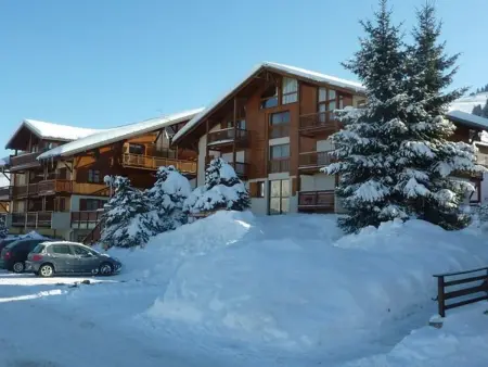 Appartement à Crest-Voland près des pistes avec garage - Photo 16