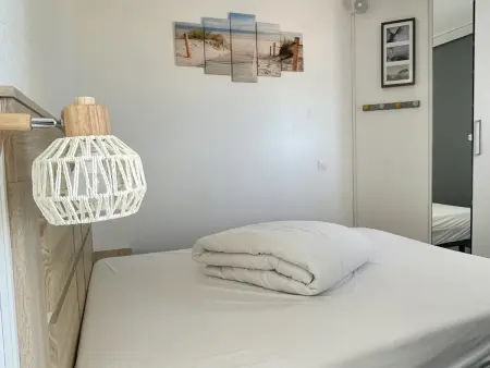 Magnifique T2 climatisé avec terrasse à Canet-en-Roussillon - Photo 14