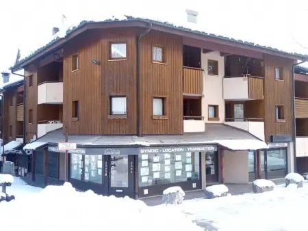 Appartement 2 pièces au pied des pistes, St-Jean-d'Aulps - Photo 25