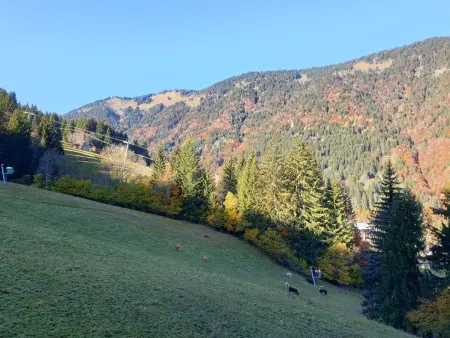 Studio cosy avec accès direct aux pistes à Saint-Jean-d'Aulps - Photo 8