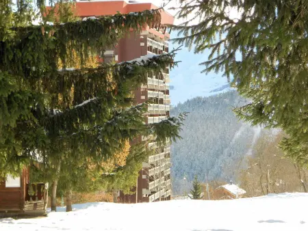 Studio skis aux pieds avec balcon et accès piscine - Photo 12