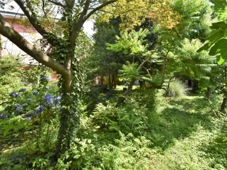 La Casa del Nonno, Maison 6 personnes à Valtellina - Photo 40