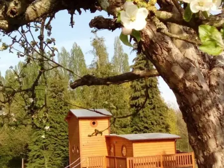 Chalet en bois dans nature, animaux admis, WiFi, Gite 4 personnes à Écouves - Photo 8