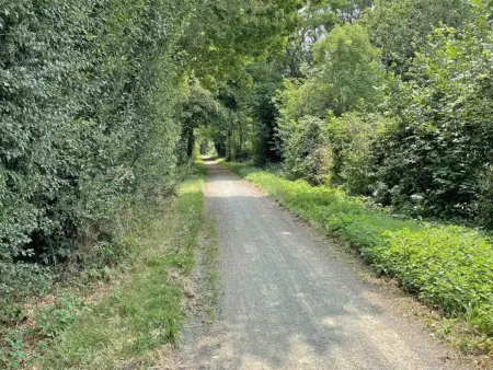 Maison ancienne - 8 pers., Gite 6 personnes à Réveillon - Photo 29