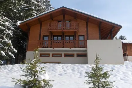 Chalet Sherwood Forest, Chalet à Les Gets près du Skibus & Sauna - Photo 31