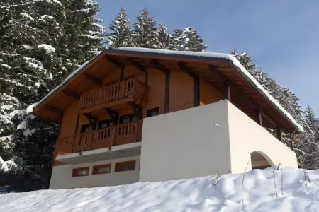 Chalet Sherwood Forest, Chalet à Les Gets près du Skibus & Sauna - Photo 32