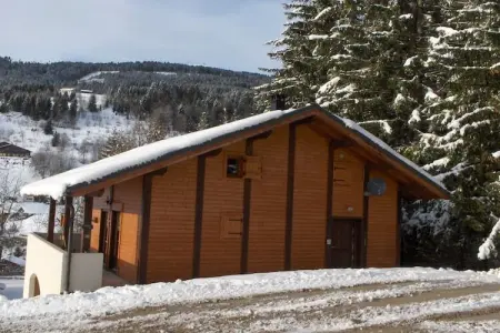 Chalet Sherwood Forest, Chalet à Les Gets près du Skibus & Sauna - Photo 33