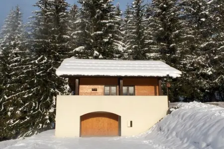Chalet Sherwood Forest, Chalet à Les Gets près du Skibus & Sauna - Photo 35