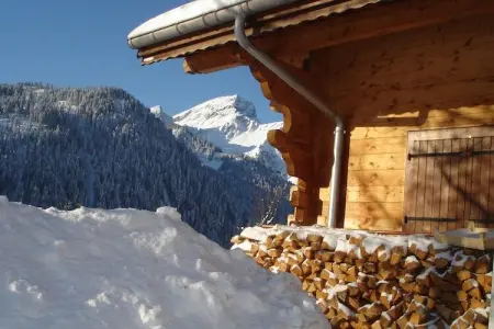 Chalet Alban, Chalet à Châtel proche Portes du Soleil - Photo 33