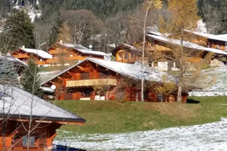 Chalet Alban, Chalet à Châtel proche Portes du Soleil - Photo 34