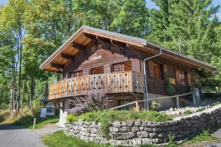 Chalet Le Nid Zut, Chalet à Châtel près de Les Portes du Soleil - Photo 1