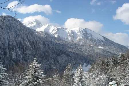 Chalet Le Nid Zut, Chalet à Châtel près de Les Portes du Soleil - Photo 6