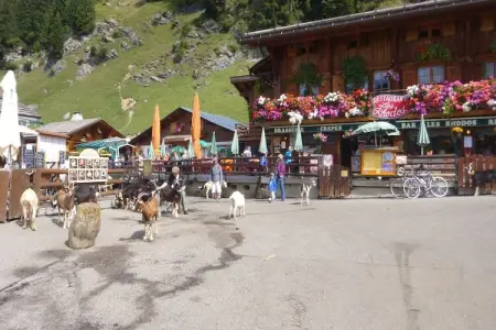 Chalet Montjoie, Chalet à Saint-Jean près du télésiège - Photo 16