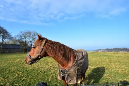 Gite des 3 Mathildes 6 pers, Maison de vacances en Normandie près de la mer - Photo 20