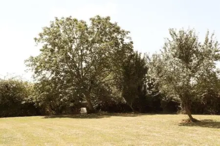 Gite des 3 Mathildes 6 pers, Maison de vacances en Normandie près de la mer - Photo 30