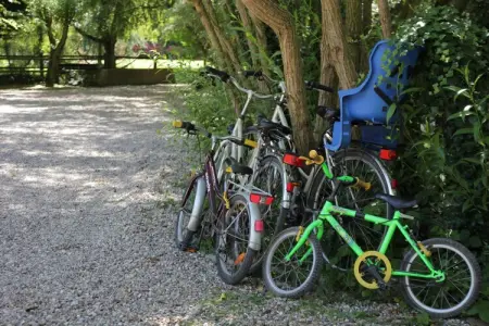 Gite 3, Maison à Quend-Plage près de la forêt - Photo 17