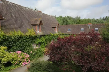 Gite 3, Maison à Quend-Plage près de la forêt - Photo 30