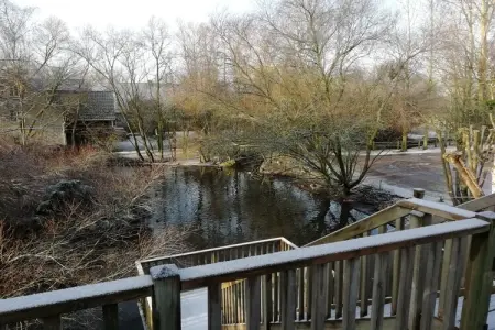 Gîte 6, Appartement Quend-Plage avec piscine - Photo 12