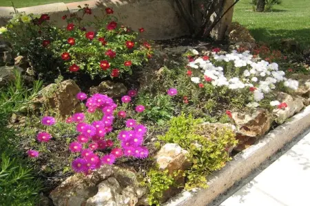 Mas du Puits, Villa en Provence avec Piscine et Jardin - Photo 22