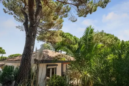 Lavande, Maison à Gassin proche Saint Tropez - Photo 1