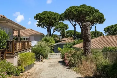 Lavande, Maison à Gassin proche Saint Tropez - Photo 2