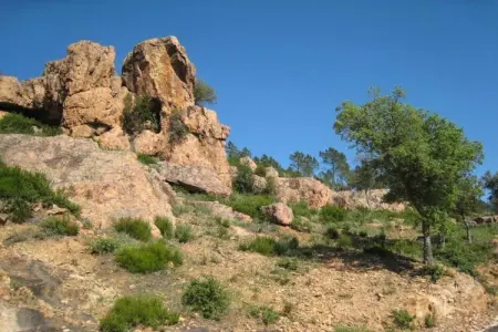 Les Plantiers, Maison en Provence avec piscine privée - Photo 29